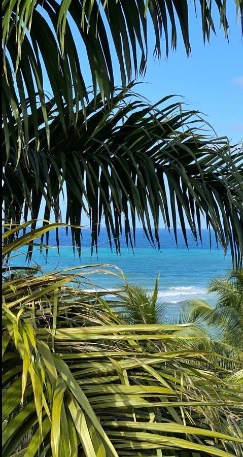 Spring Garden Mobay Resort Teluk Montego Bagian luar foto